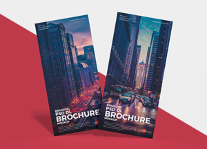 Free Branding PSD DL Brochure Mockup psd dl brochure psd ol brochure 