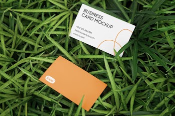 Free Business Card in Grass Mockups
