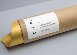 Free Cardboard Tube Packaging MockUp 315 flatbush ave brooklyn, ny 11217, uus c.t.p. 