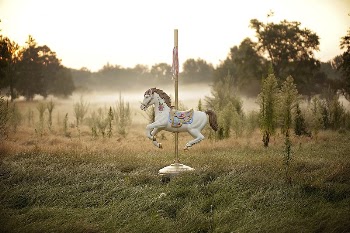 Free carousel horse image, public | Free Photo - rawpixel