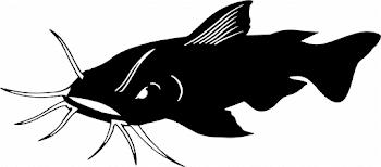 Free Cat Fish Cliparts, Download Free Clip Art, Free Clip Art on ...
