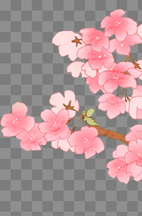 Free Cherry Blossom Vectors Download #45511 - Free Icons and PNG ...