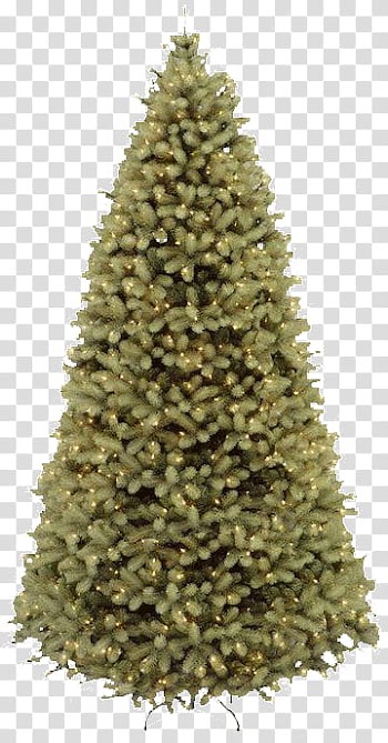 Free Christmas Trees shop Brushes plus Cutout, green Christmas tree illustration transparent background PNG clipart