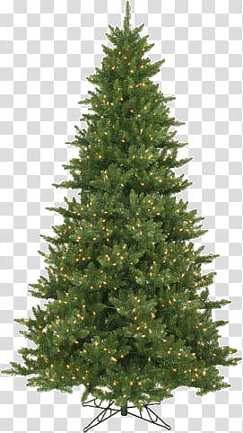 Free Christmas Trees shop Brushes plus Cutout, green Christmas tree transparent background PNG clipart