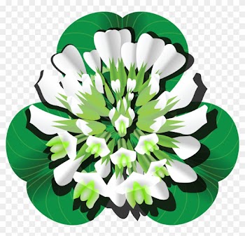 Free Clipart Of A Clover Blossom And Leaves - Clover Flower Clipart