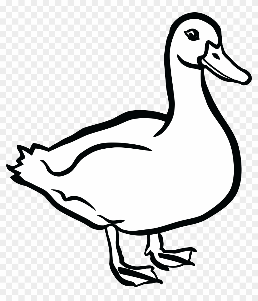 Free Clipart Of A Duck - Duck Black And White