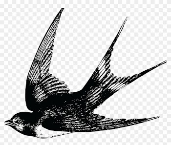Free Clipart Of A Swallow - Swallow Tattoo Vintage