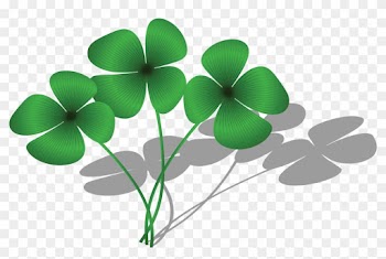 Free Clipart Of A Trio Of Four Leaf Clovers And Shadows - Four Leaf Clover Group