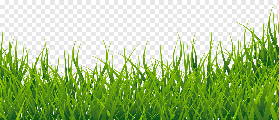 Free content Blog Website, Grass s, presentation, computer Wallpaper, grass png