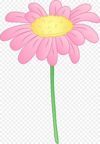 Free content Common daisy Pink Clip art - Daisy Flower Cliparts 