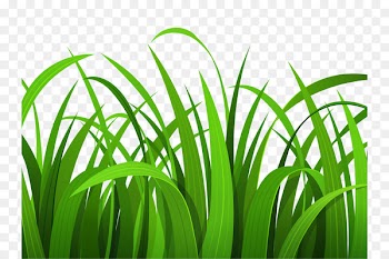 Free content Download Clip art - Cliparts Grass Border 