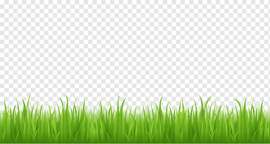 Free content, Football Grass s, image File Formats, computer Wallpaper, lawn png