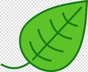 Free content Leaf Website , Big Leaves transparent background PNG clipart