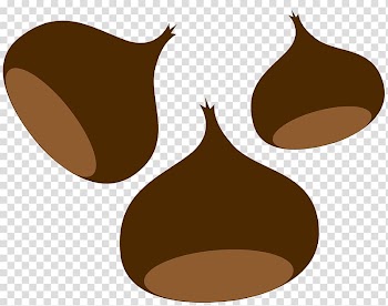 Free content Product design Autumn leaf color, autumn transparent background PNG clipart