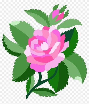 Free Design For Damask Rose - Rose Flowers Designs