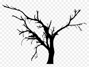 Free Download - Bare Tree Silhouette Png