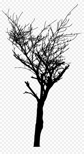 Free Download - Bare Tree Silhouette Transparent