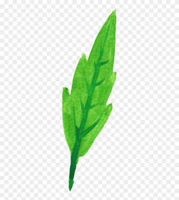Free Download - Common Sage