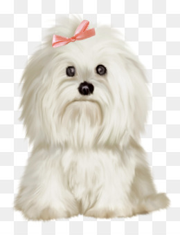 Free download dogs png.