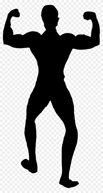 Free Download - Fitness Girl Vector