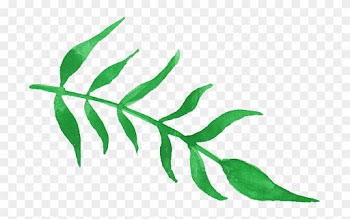 Free Download - Green Watercolor Plant Png