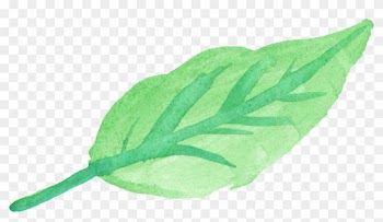 Free Download - Green Watercolour Leaves Png