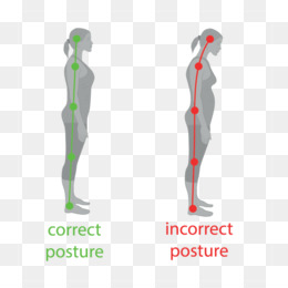Free download Neutral spine Poor posture Standing Human body ...