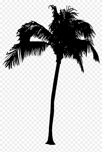 Free Download - Palm Tree Silhouette