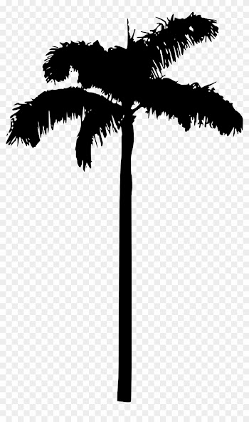 Free Download - Palm Tree Without Background