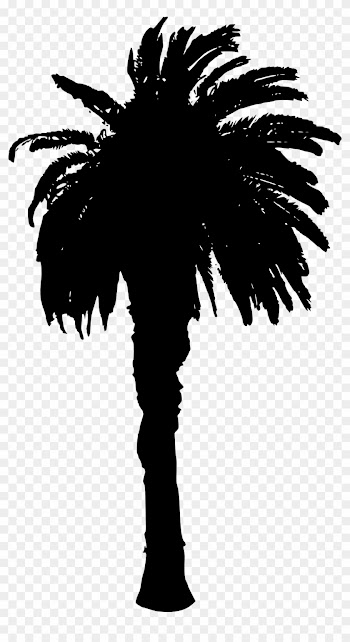Free Download - Palm Trees