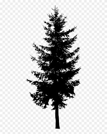 Free Download - Pine Tree Silhouette Png