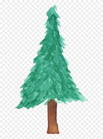 Free Download - Pine Tree Watercolor Transparent