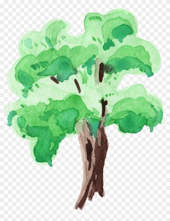 Free Download - Png Transparent Tree Png Watercolor