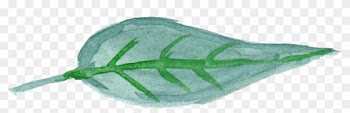 Free Download - Png Transparent Watercolor Leaves Png