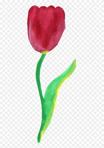 Free Download - Rose