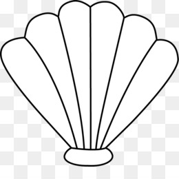 Free download Seashell Clam Black and white Clip art - Shells ...