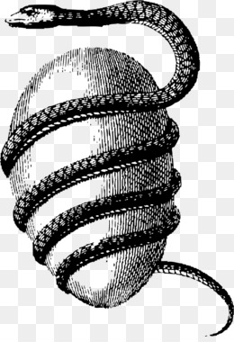 Free download Serpent Occult World egg Snake Orphic Egg - snake png.
