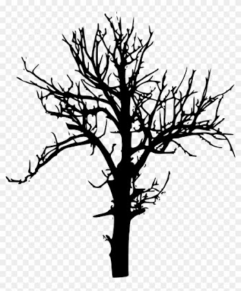 Free Download - Silhouette Trees Transparent Background