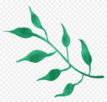 Free Download - Transparent Watercolor Leaves Png