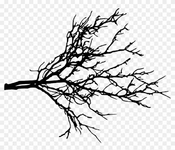 Free Download - Tree Branch Silhouette Png