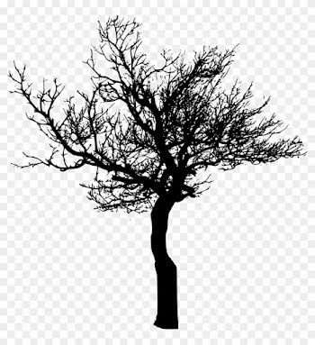 Free Download - Tree Silhouette Transparent Background