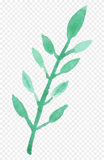 Free Download - Twig
