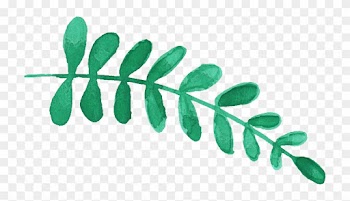 Free Download - Watercolor Flowering Leaves Png