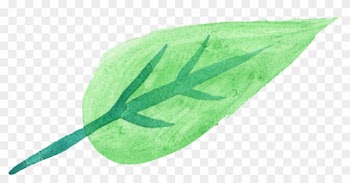 Free Download - Watercolor Green Transparent