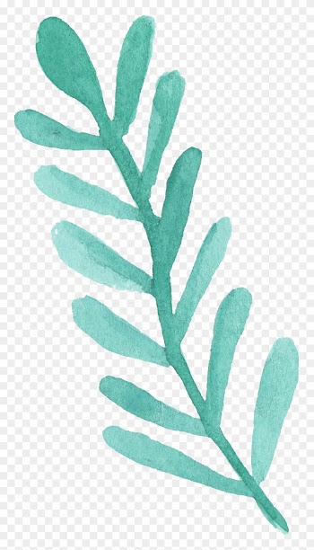 Free Download - Watercolor Leaf Leaf Png