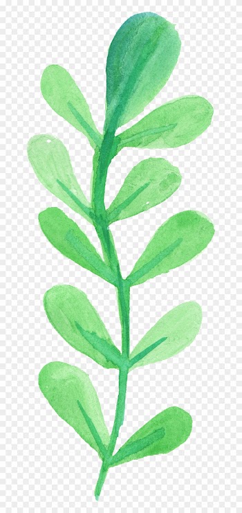 Free Download - Watercolor Leaves Transparent