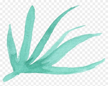 Free Download - Watercolor Leaves Transparent Background