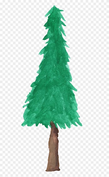 Free Download - Watercolor Pine Tree Png