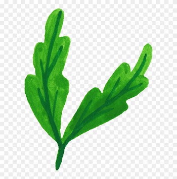 Free Download - Watercolour Leaf Png Clipart