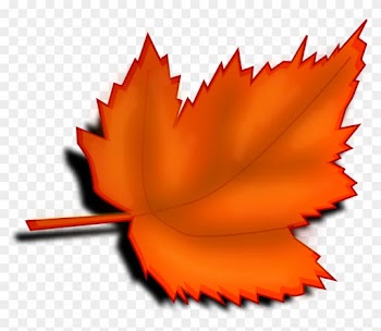 Free Fall Borders - Leaves Clipart Transparent Background
